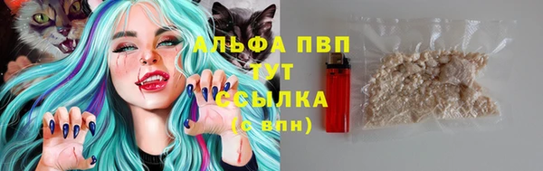 кокс Алзамай
