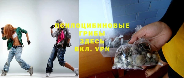 PSILOCYBIN Алексеевка
