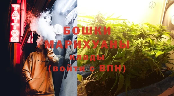 PSILOCYBIN Алексеевка