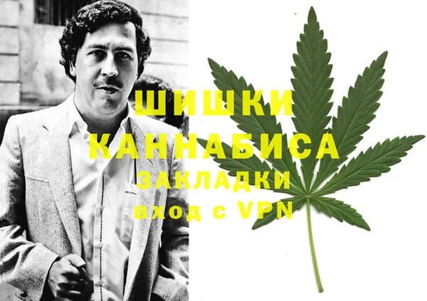 PSILOCYBIN Алексеевка