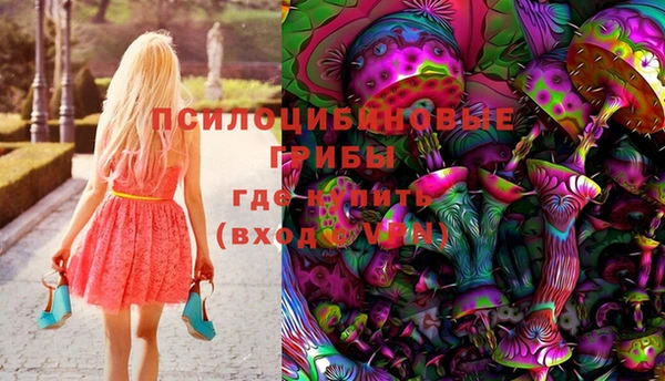 PSILOCYBIN Алексеевка