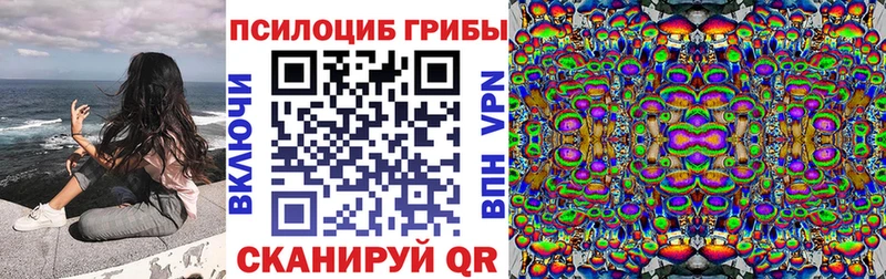 цена   Закаменск  Галлюциногенные грибы Cubensis 